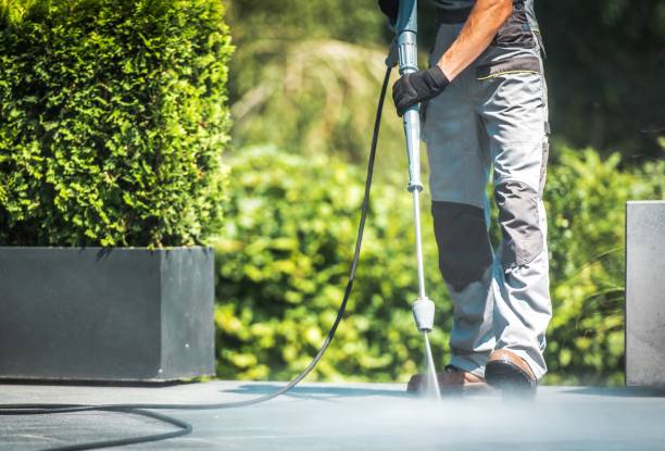 Best House Exterior Washing  in Crivitz, WI